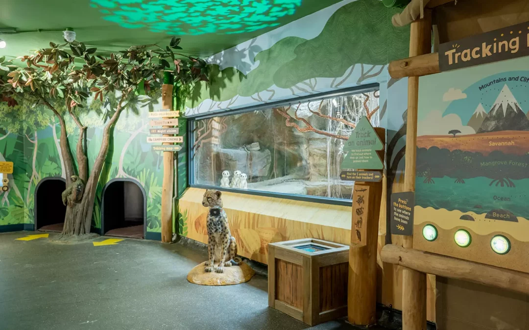 ZOOTOWN London Zoo